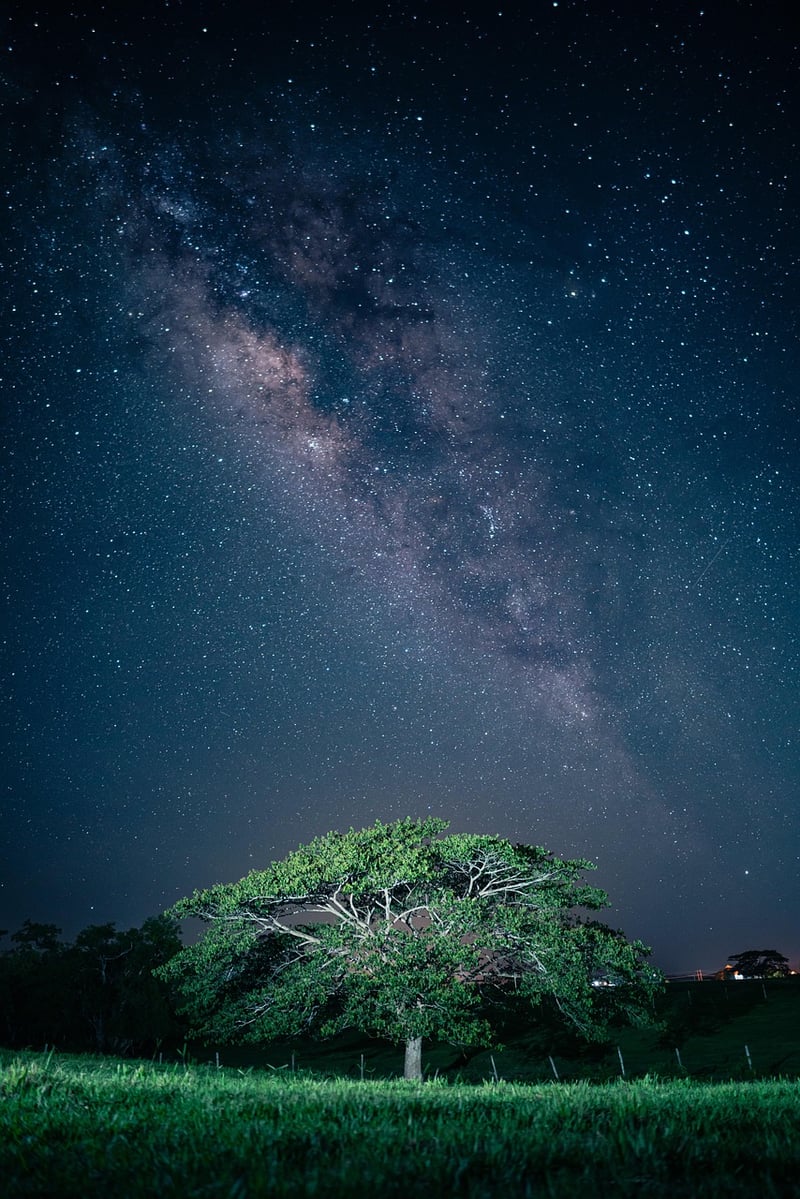 Night Landscape