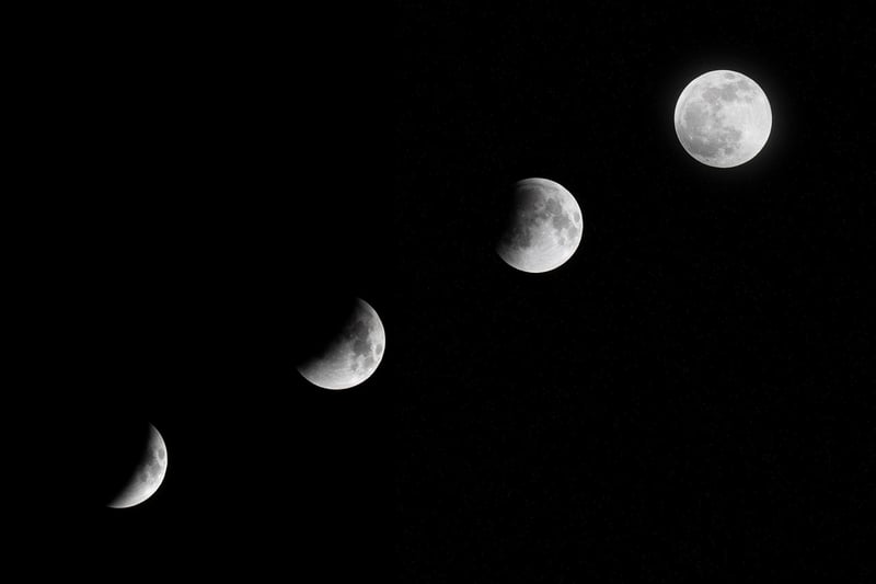 Moonlit Picnic